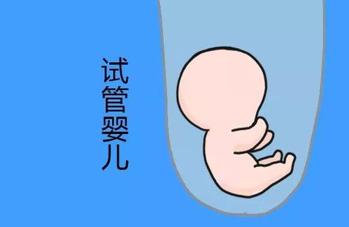 代生男孩价格